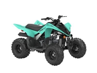 2024 Yamaha RAPTOR 110
